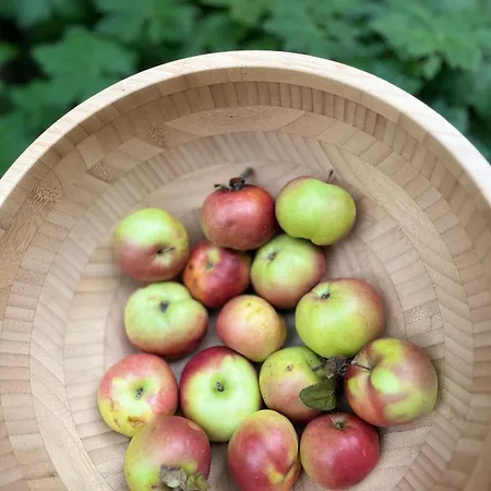 Verta House Pensión Tryavna