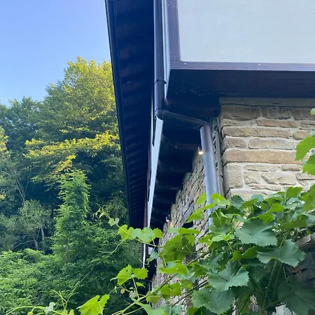 Verta House Pensión Tryavna