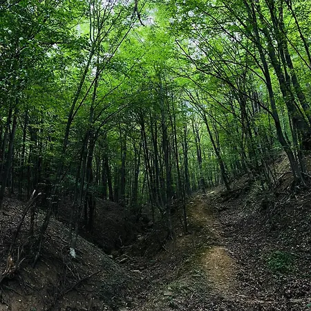 Pensión Verta House