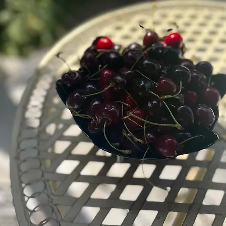 Verta House Pensión Tryavna