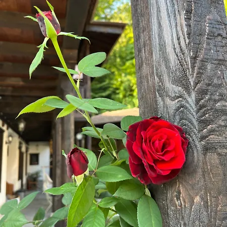 Verta House Vendégház Trjavna