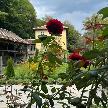 Verta House Pensión