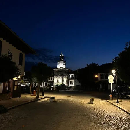 Pensiune Verta House *