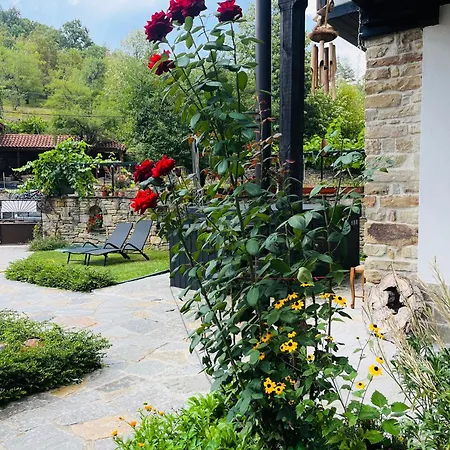 Verta House Pensiune