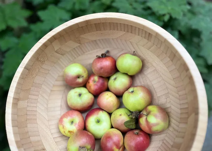 Verta House Pensjonat Triawna