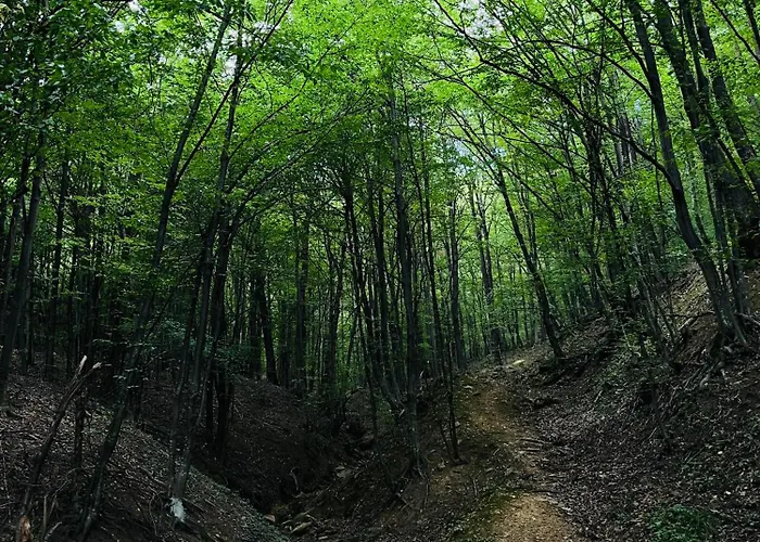 Pensjonat Verta House