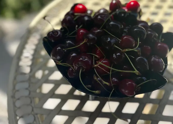 Verta House Pensjonat Triawna