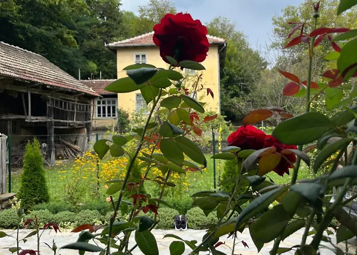 Verta House Pensjonat